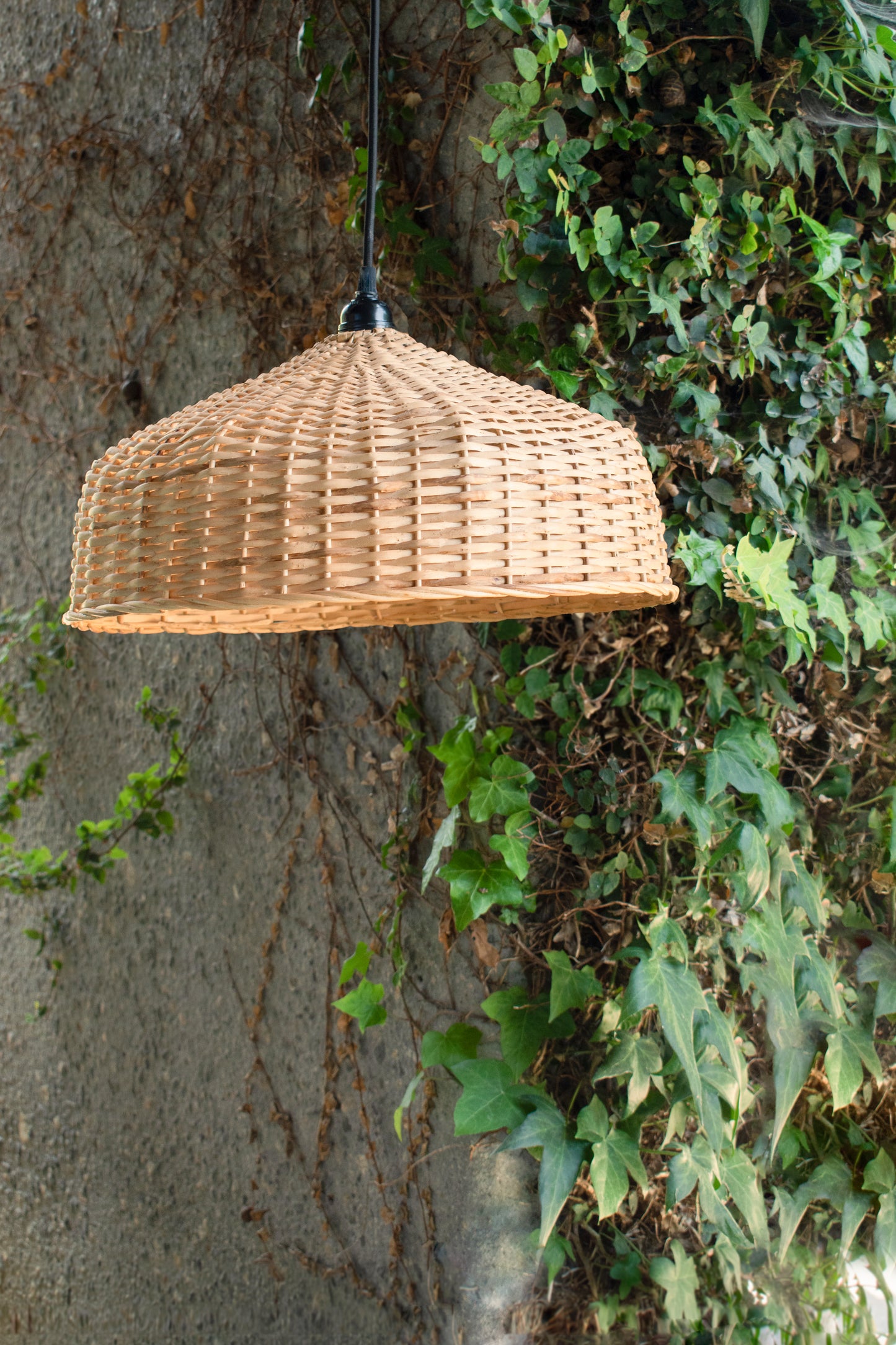 Mamo Lamp