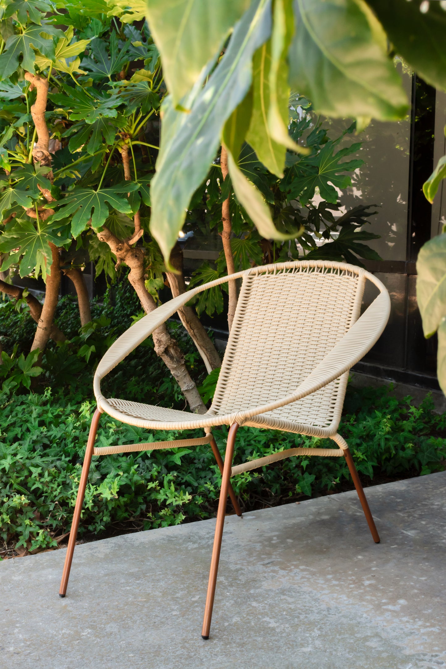 Ariguani Chair